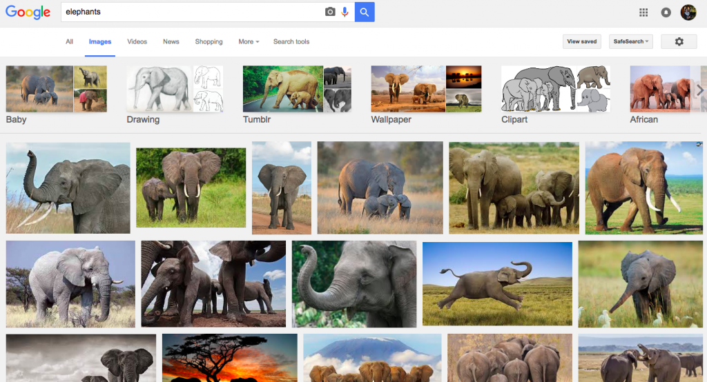 Screen shot from google image search of elephants